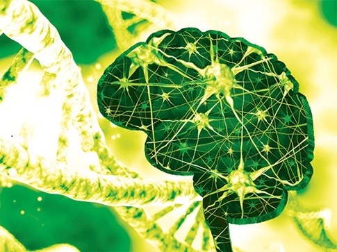 Imagen: El ensayo de diagnóstico in vitro EuroRealTime TM APOE se ha lanzado en países europeos que aceptan la marca CE (Foto cortesía de EUROIMMUN)